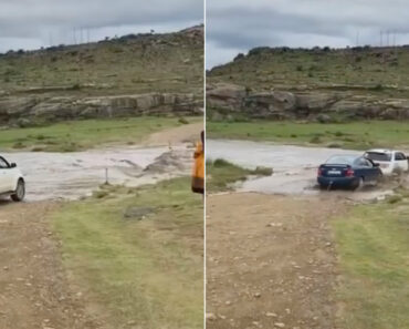 Como NÃO Ajudar Um Amigo a Atravessar Um Rio Como NÃO Ajudar Um Amigo a Atravessar Um Rio