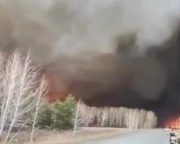 Rússia: Incêndios florestais Assolam a Sibéria
