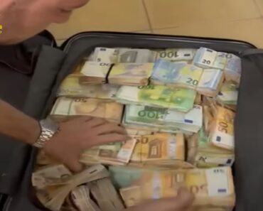 Cão-Polícia Fareja 5 Milhões De Euros Ocultos Dentro De Parede