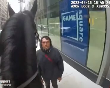 Ladrão é Perseguido Por Um Agente De Quatro Patas Em Nova Iorque Ladrão é Perseguido Por Um Agente De Quatro Patas Em Nova Iorque