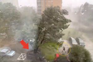 Homem Enfrenta Forte Tempestade e Retira o Carro Na “Hora H” Debaixo De Uma Enorme Árvore