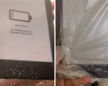 Formigas São Trabalhadoras.. Até a Invadir Kindle e Comprar Livros Formigas São Trabalhadoras.. Até a Invadir Kindle e Comprar Livros