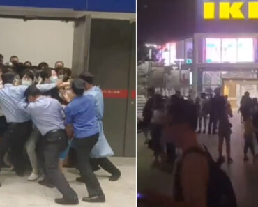 Clientes Entram Em Pânico Após Loja Do IKEA Em Xangai Anunciar Confinamento Imediato Clientes Entram Em Pânico Após Loja Do IKEA Em Xangai Anunciar Confinamento Imediato