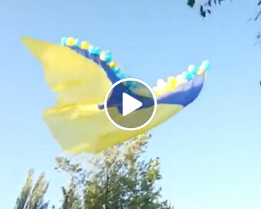 Soldados Ucranianos Lançam Bandeira Voadora No Dia Da Independência