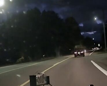 Vídeo Impressionante Mostra Cervo a Saltar Sobre Um Carro Em Andamento Vídeo Impressionante Mostra Cervo a Saltar Sobre Um Carro Em Andamento