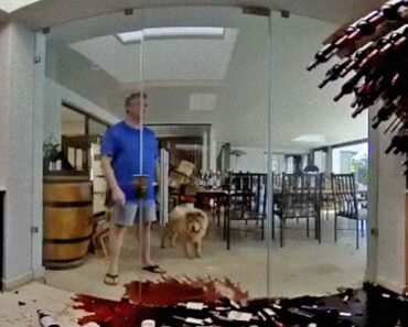 O Desespero De Um Homem Ao Ver a Sua Valiosa Garrafeira Ceder e a Deixar Cair Garrafa a Garrafa… O Desespero De Um Homem Ao Ver a Sua Valiosa Garrafeira Ceder e a Deixar Cair Garrafa a Garrafa…