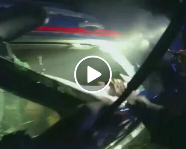 Homem Rouba Carro Da Polícia, Capota Numa Linha De Comboio e Acaba Salvo Pelos Agentes Homem Rouba Carro Da Polícia, Capota Numa Linha De Comboio e Acaba Salvo Pelos Agentes