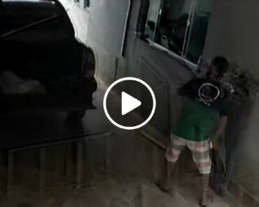 Condutor Esqueceu-se Do Travão De Mão e Por Pouco Não Aconteceu o Pior