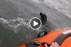 Cão Resgatado Do Mar Após Brincadeira De “Apanha a Bola” Correr Mal
