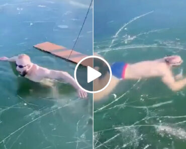 Homem Mergulha Em Lago Congelado e Fica Em Apuros Por Não Conseguir Encontrar a Saída