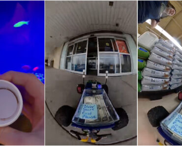 Homem Envia Carrinho Telecomandado Para Comprar Comida Para Peixes Homem Envia Carrinho Telecomandado Para Comprar Comida Para Peixes