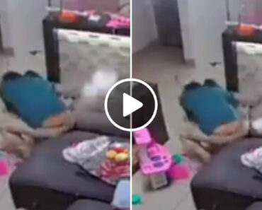 Panela De Pressão Explode e Família Escapa Por Pouco