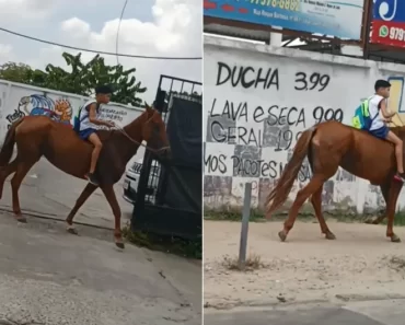 Menino De 11 Anos Vai Para a Escola Montado a Cavalo: “Pneu Da Bicicleta Furou” Menino De 11 Anos Vai Para a Escola Montado a Cavalo: “Pneu Da Bicicleta Furou”