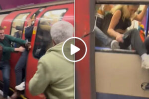 Pânico No Metro De Londres. Passageiros Partem Vidros Para Fugir