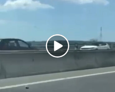 Condutor “De Idade Avançada” Em Contramão Na Zona De Almeirim Condutor “De Idade Avançada” Em Contramão Na Zona De Almeirim