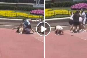 Parque Da Disney Torna-se Palco De Batalha Campal Por Causa De Uma Fotografia