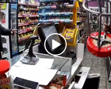 Um Assalto Surreal a Uma Loja Em Barcelona… “Vou Embora Porque Estou a Ter Um Ataque De Ansiedade” Um Assalto Surreal a Uma Loja Em Barcelona… “Vou Embora Porque Estou a Ter Um Ataque De Ansiedade”