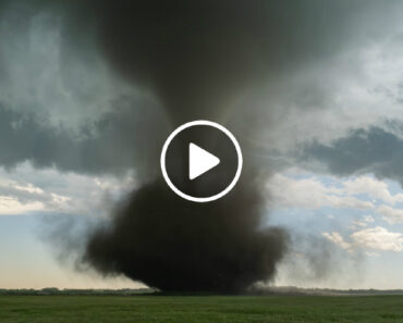 Tornado