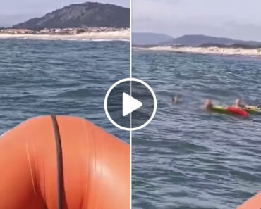 Resgatada Vítima Arrastada Por Agueiro Na Praia De Suave Mar Em Viana Do Castelo