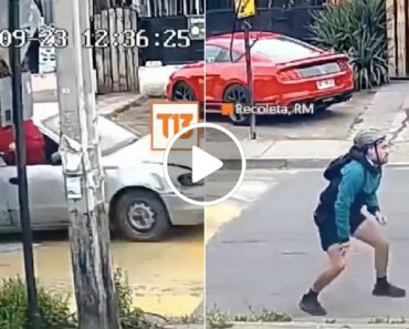 Ciclista Viu a Sua Bicicleta Ser Roubada Enquanto Pedalava Por Ladrões De Carro a Alta Velocidade Ciclista Viu a Sua Bicicleta Ser Roubada Enquanto Pedalava Por Ladrões De Carro a Alta Velocidade