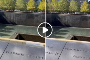 Homem Salta Para Fonte Do Memorial Do 11 De Setembro