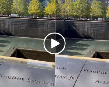 Homem Salta Para Fonte Do Memorial Do 11 De Setembro