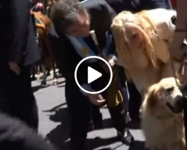 Presidente Argentino Interrompe Cortejo Para Cumprimentar Cão