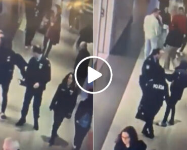 Homem Tenta Tirar Arma a Agente Da PSP No Norteshopping Em Matosinhos