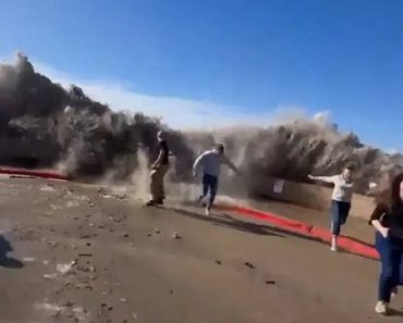 Onda Gigante Na Califórnia Arrasta Várias Pessoas e Faz 8 Feridos Onda Gigante Na Califórnia Arrasta Várias Pessoas e Faz 8 Feridos