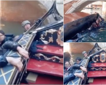 Turistas Caem à Água Em Veneza Após Se Recusarem a Parar De Tirar Fotos Durante Manobra Difícil Turistas Caem à Água Em Veneza Após Se Recusarem a Parar De Tirar Fotos Durante Manobra Difícil