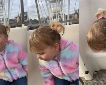 Menina Encanta Internet Com Divertida Reação Em Roda Gigante Menina Encanta Internet Com Divertida Reação Em Roda Gigante