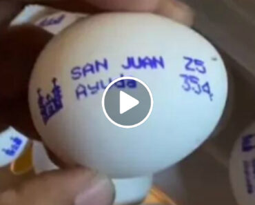 Pedido De “Ajuda” Em Ovo Gera Reboliço. Afinal, Era Uma Mensagem Positiva
