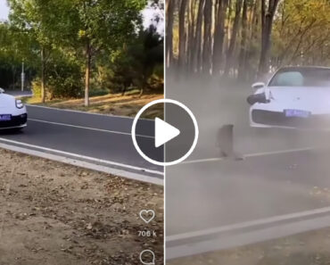 Que Significa Subviragem? Condutor De Porsche Panamera Descobriu-o Da Pior Forma