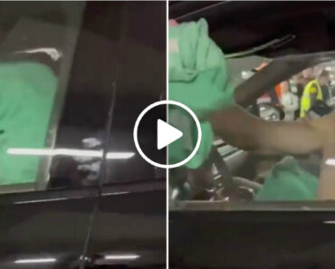 De Tronco Nu Ao Volante: Gyökeres Parou o Carro e Surpreendeu Um Pequeno Fã