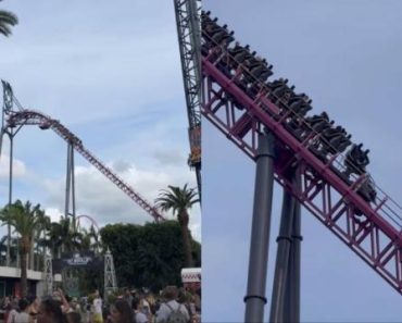 Montanha-Russa Evacuada Devido a Queda De Cachecol. Resgate Demorou Horas Montanha-Russa Evacuada Devido a Queda De Cachecol. Resgate Demorou Horas