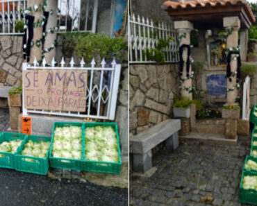 Moradores De Barcelos Oferecem Legumes Em Excesso Para Quem Precisa