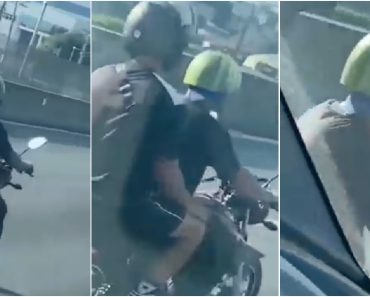 Motociclista Filmado a Usar Uma Melancia Como Capacete Motociclista Filmado a Usar Uma Melancia Como Capacete