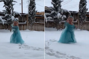 Menina De 2 Anos Vê Neve Pela Primeira Vez e Reage Assim