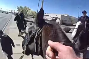 Ladrão Perseguido Por Polícia a Cavalo. Vídeo Do Momento Tornou-se Viral