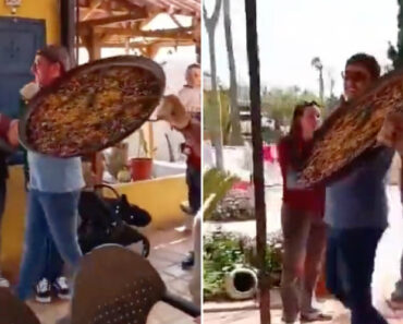 Almoçarada De Domingo Que Não Correu Bem Após Exibição Exagerada Do Prato Principal Almoçarada De Domingo Que Não Correu Bem Após Exibição Exagerada Do Prato Principal