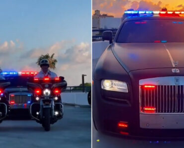 Perseguir Bandidos Em Miami Vai Ser Um Luxo Perseguir Bandidos Em Miami Vai Ser Um Luxo