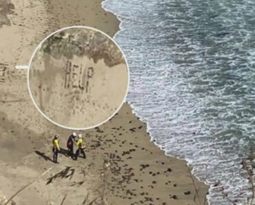 Praticante De Kitesurf Escreve “Ajuda” Com Pedras Na Areia e é Resgatado Praticante De Kitesurf Escreve “Ajuda” Com Pedras Na Areia e é Resgatado