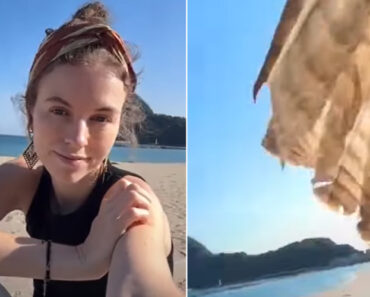 Jovem Filma Acidentalmente o Momento Em Que Pássaro Lhe Rouba o Telefone Jovem Filma Acidentalmente o Momento Em Que Pássaro Lhe Rouba o Telefone