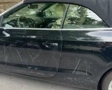 Mulher Encontra Carro Riscado e Fica Sem Palavras Após Descobrir o Responsável Mulher Encontra Carro Riscado e Fica Sem Palavras Após Descobrir o Responsável