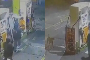 Cão De Rua Defende Funcionária De Bomba De Gasolina e é “Contratado”