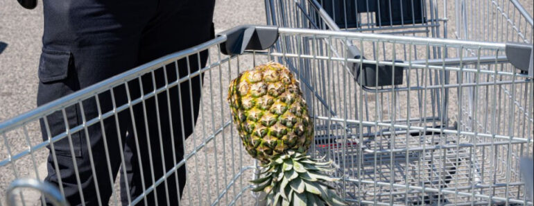 Até a PSP Aderiu Aos Encontros No Supermercado. “Conduza Com Precaução” Até a PSP Aderiu Aos Encontros No Supermercado. “Conduza Com Precaução”