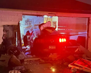 Condutor Embriagado Embate Em Casa. Casal Sobrevive, Mas Pede Ajuda Condutor Embriagado Embate Em Casa. Casal Sobrevive, Mas Pede Ajuda