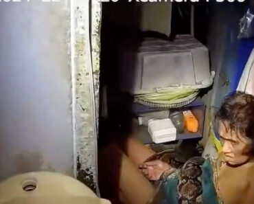 Mulher Resgatada Na Tailândia Após Duas Horas “Sequestrada” Por Píton Numa Dispensa Junto à Cozinha Mulher Resgatada Na Tailândia Após Duas Horas “Sequestrada” Por Píton Numa Dispensa Junto à Cozinha