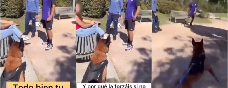 Homem Com Um Cão Ajuda Uma Mulher Que Estava a Ser Assediada Por Dois Jovens Homem Com Um Cão Ajuda Uma Mulher Que Estava a Ser Assediada Por Dois Jovens