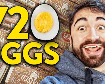 Comeu 720 OVOS Num Mês Para Ver Se o Colesterol Aumentava Comeu 720 OVOS Num Mês Para Ver Se o Colesterol Aumentava